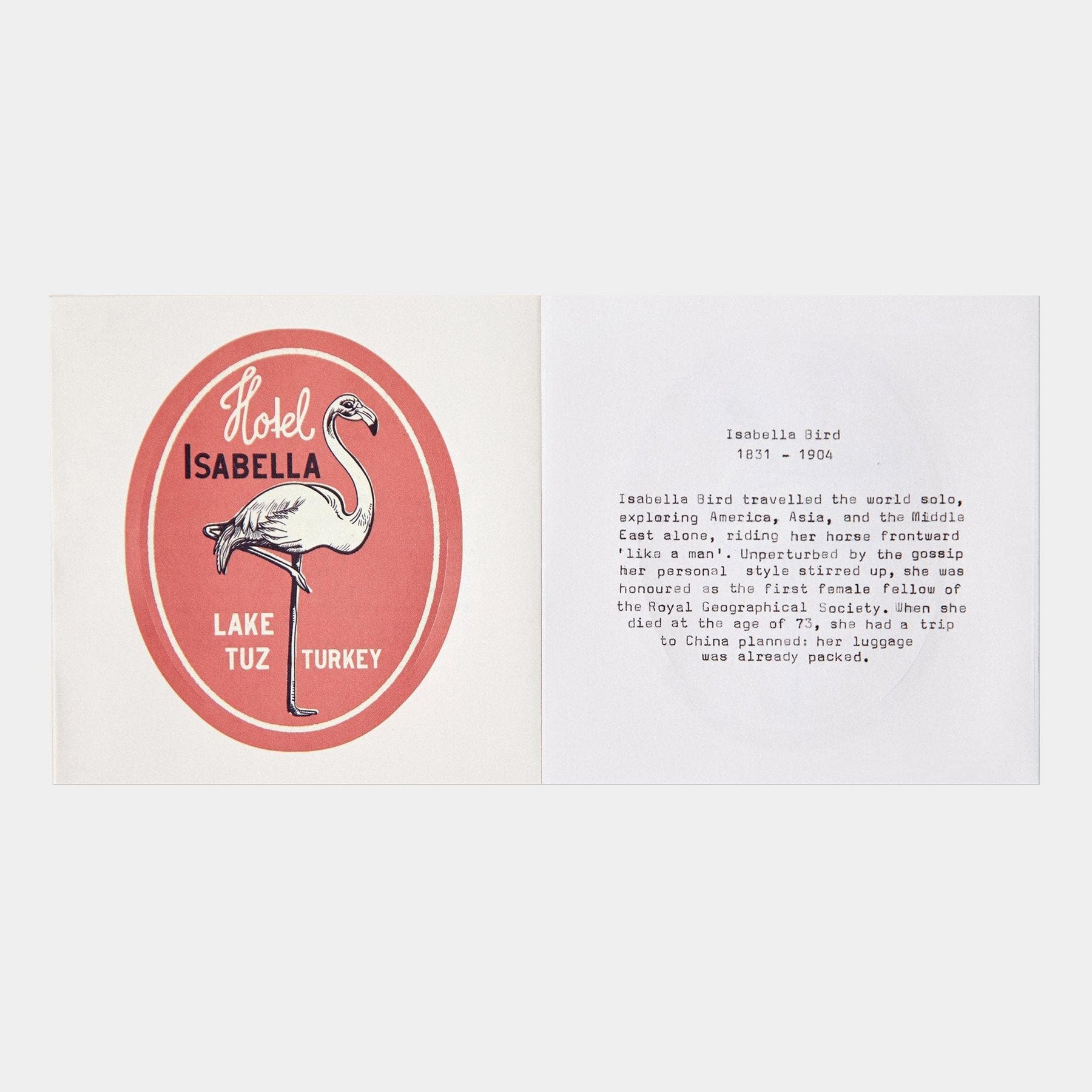Annie Atkins - Trailblazer Travel Stickers Accessories Steamline Luggage